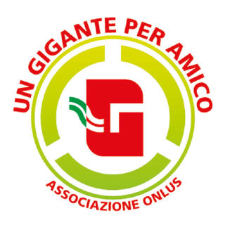  L’ASSOCIAZIONE UN GIGANTE PER AMICO